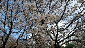20160413_160830.jpg