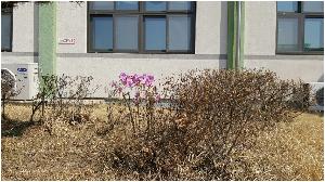 20160401_105202.jpg