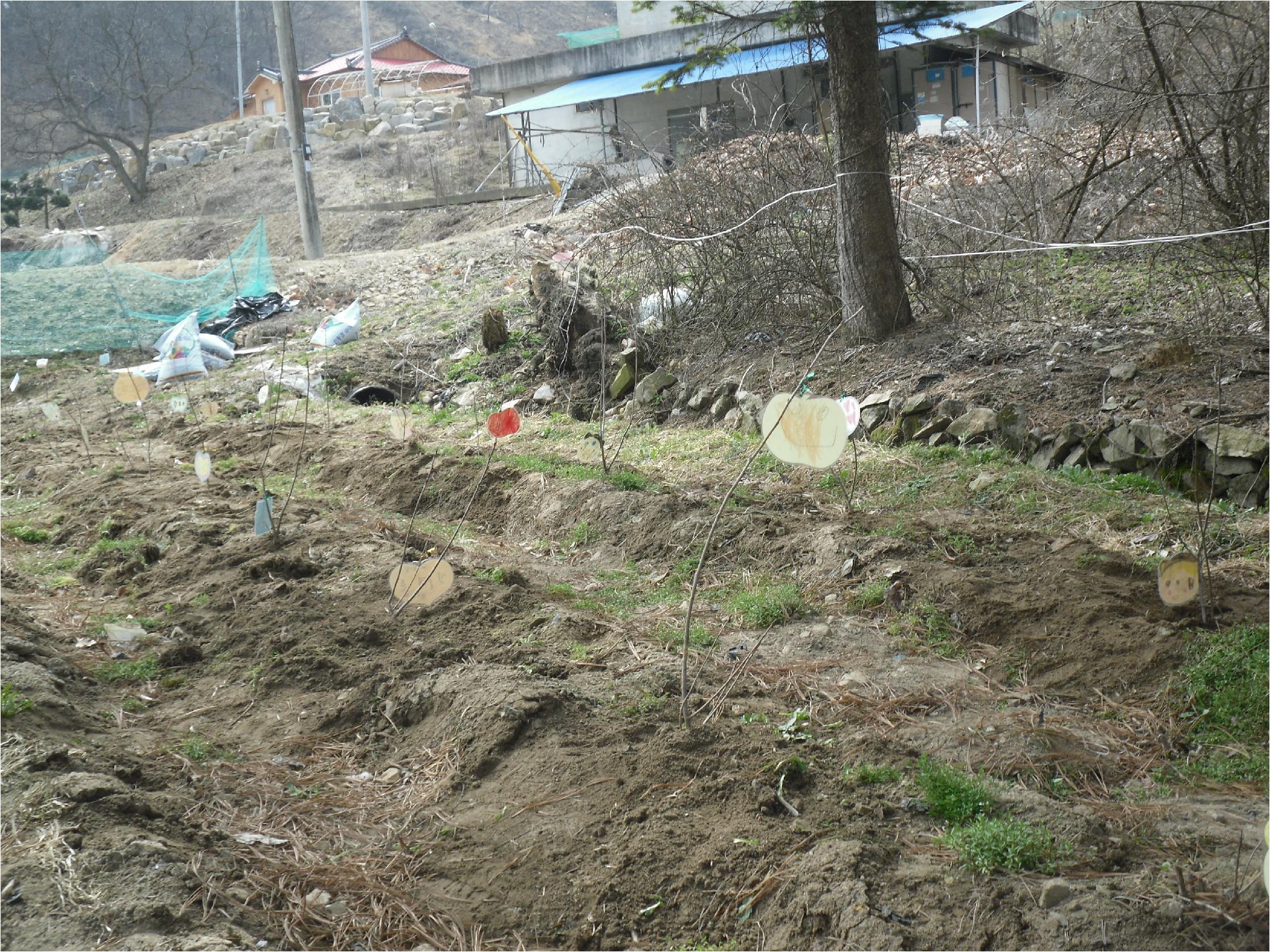 나무1