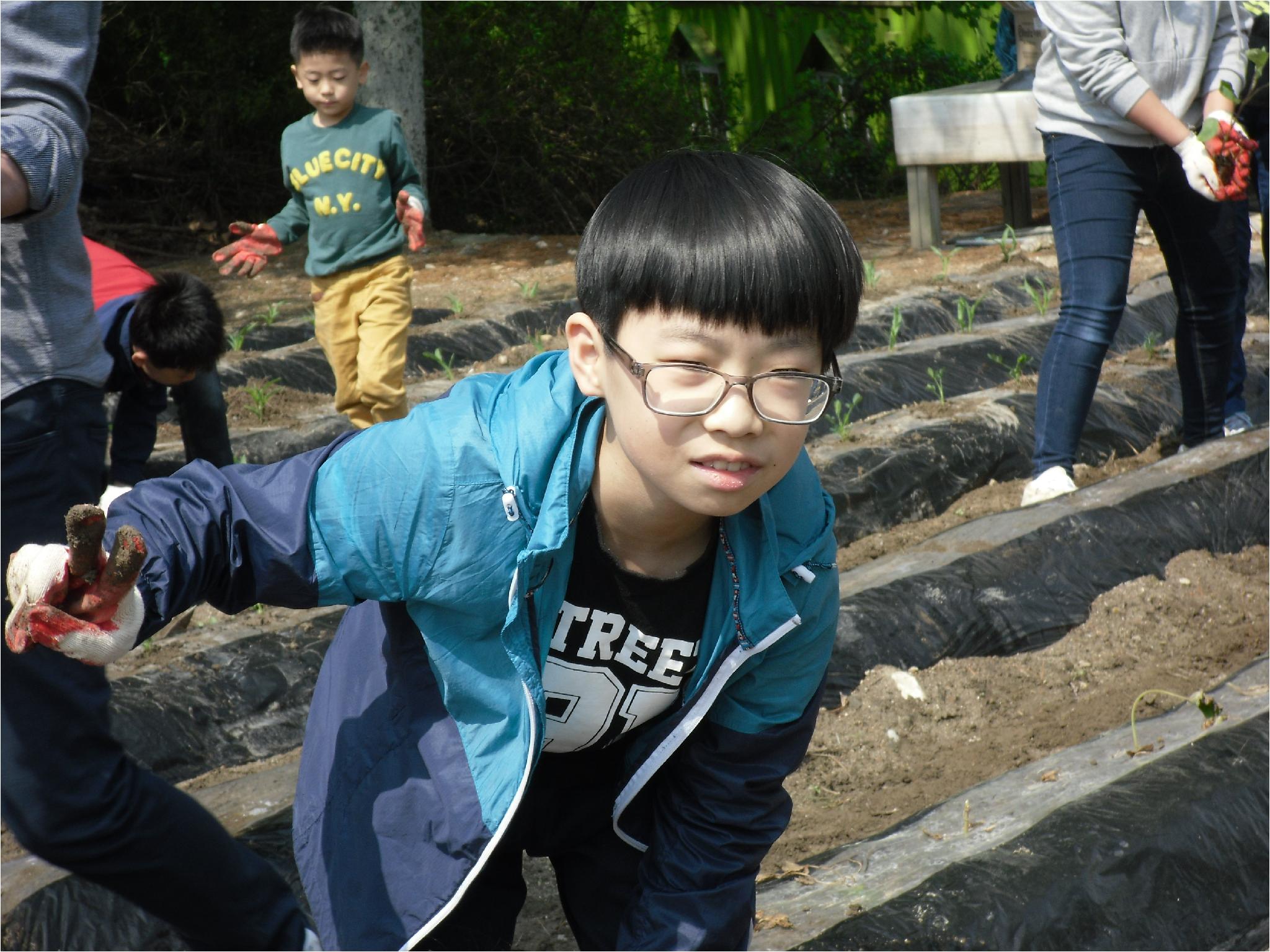 텃밭(대규)