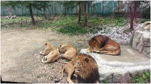 20160414_105031.jpg