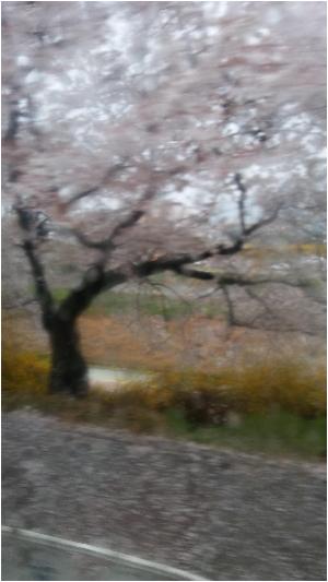 20160407_080126.jpg