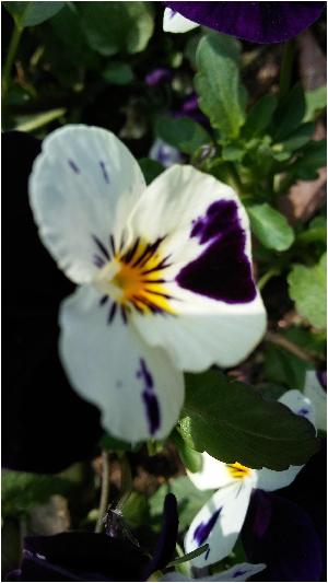 20160410_105824.jpg