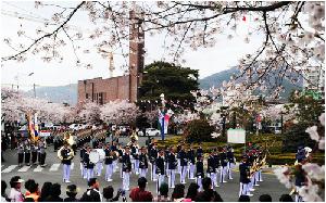 진해 군항제(벛꽃축제).jpg