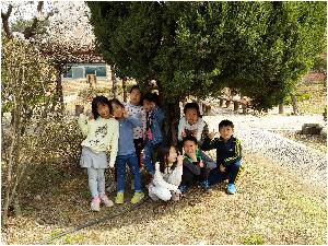 20160408_110346.jpg
