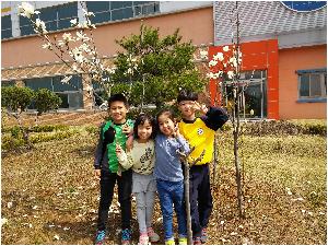 20160408_110608.jpg