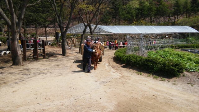 먼곳을 다녀온 4반