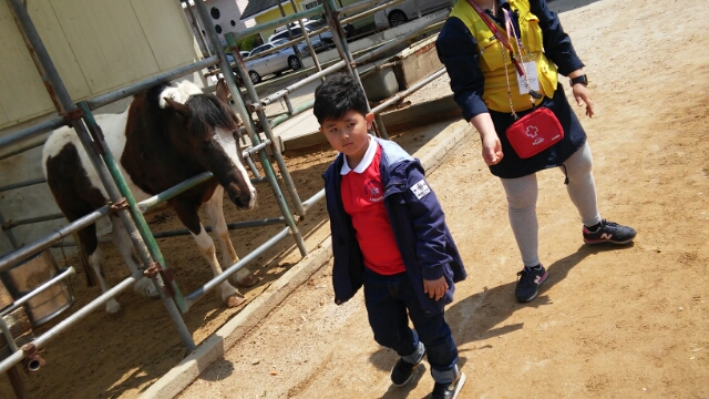 말먹이주기