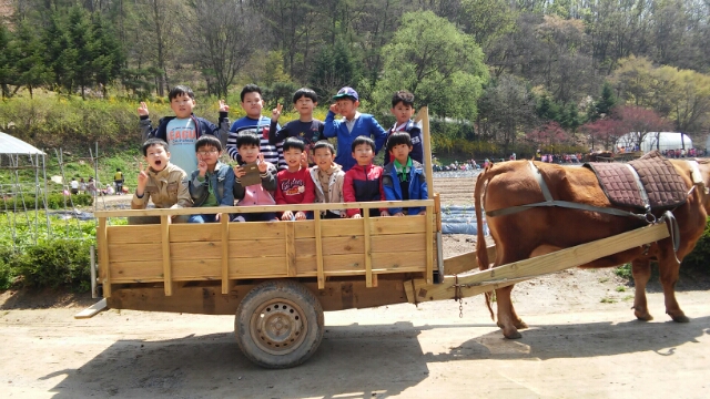 소달구지로 지구한바퀴