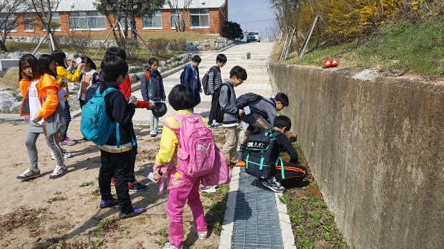 잡초를 뽑고 있는 친구들과 그걸 바라보는 친구들