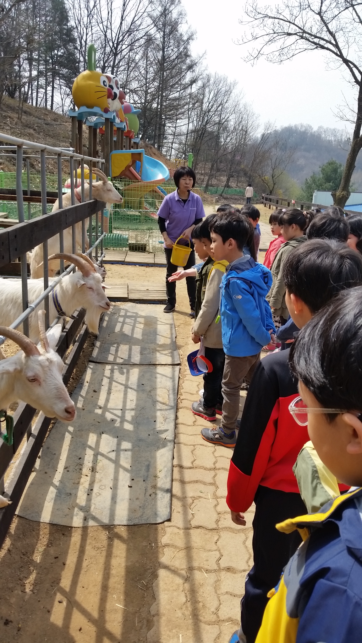 염소들을 구경했어요.