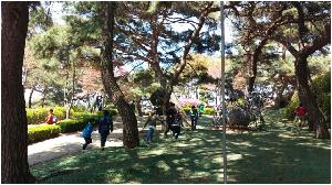 20160419_132711.jpg
