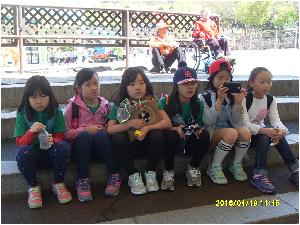 SDC11487.JPG