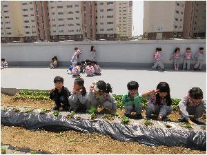 우리가 심은 강낭콩 싹] (11).JPG