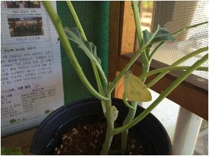 20160520102907.jpg