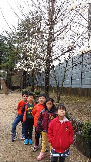 20160407_103534.jpg