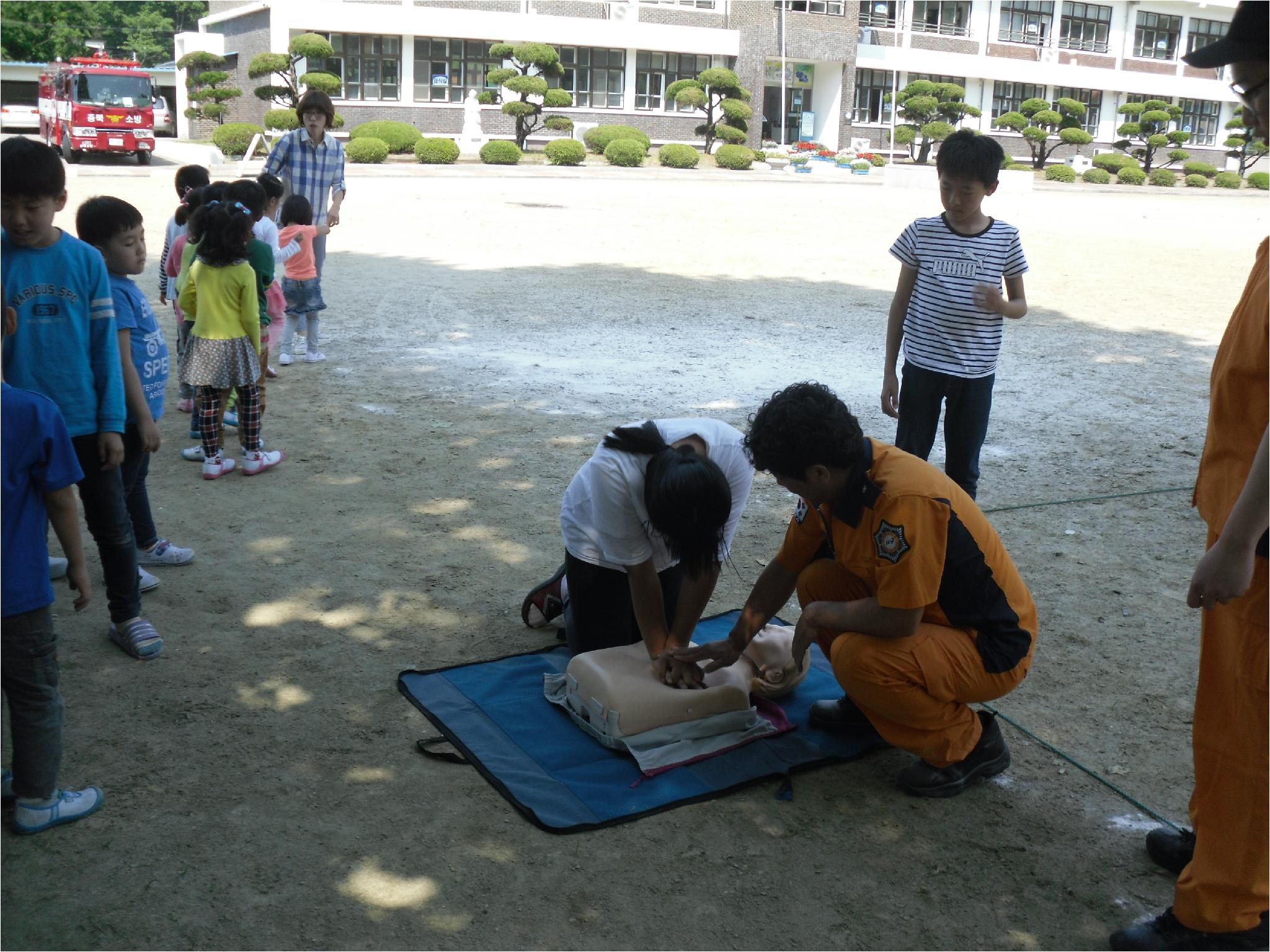 SDC16155