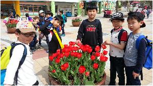 20160414_134117.jpg