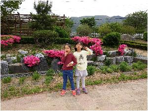 20160427_084015.jpg