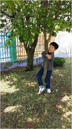 20160516_111714.jpg