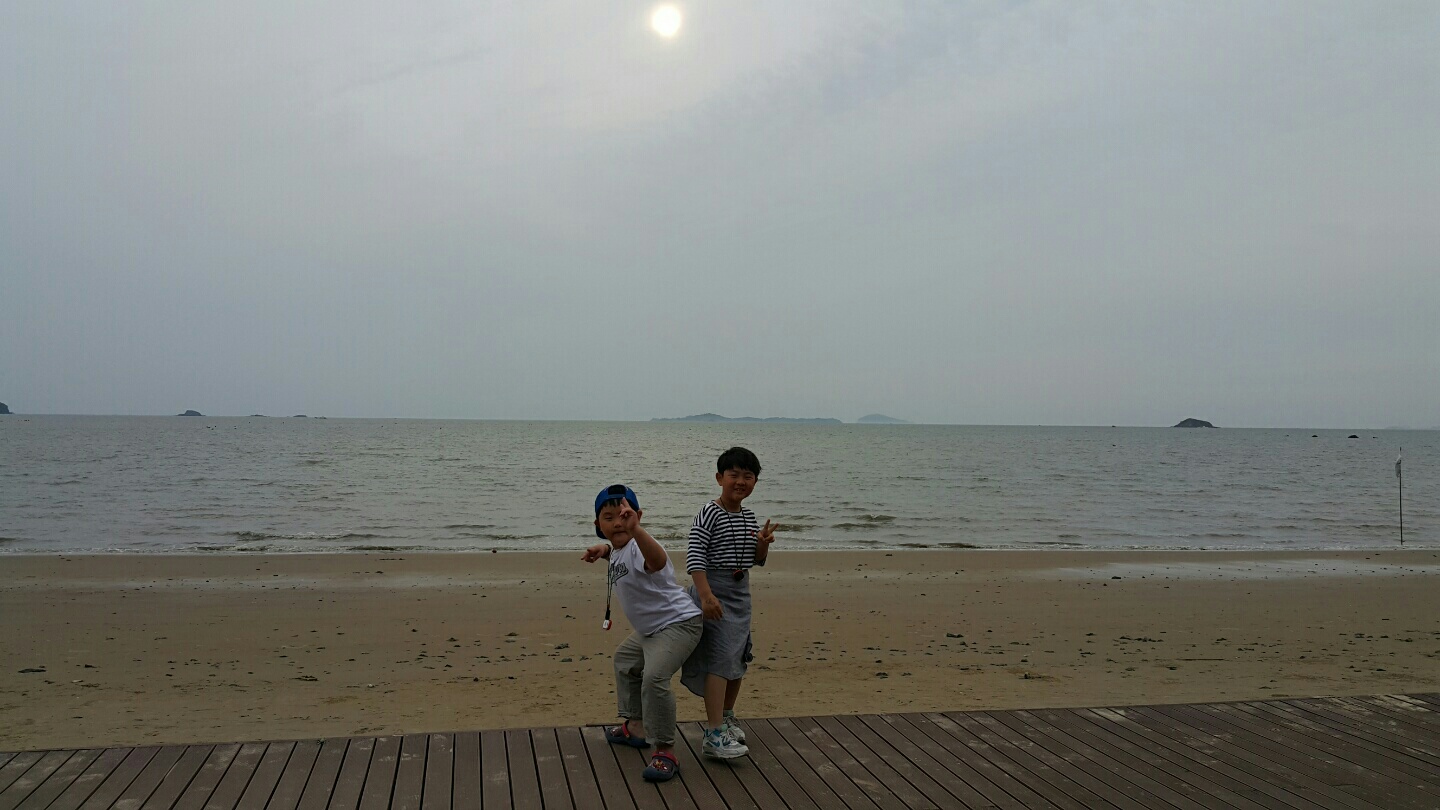 카네이션