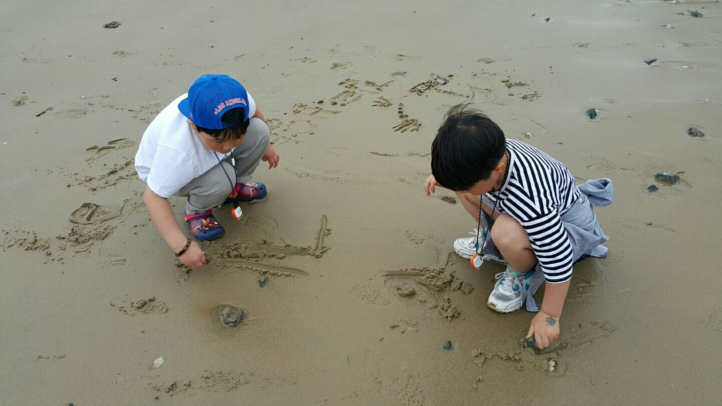 카네이션