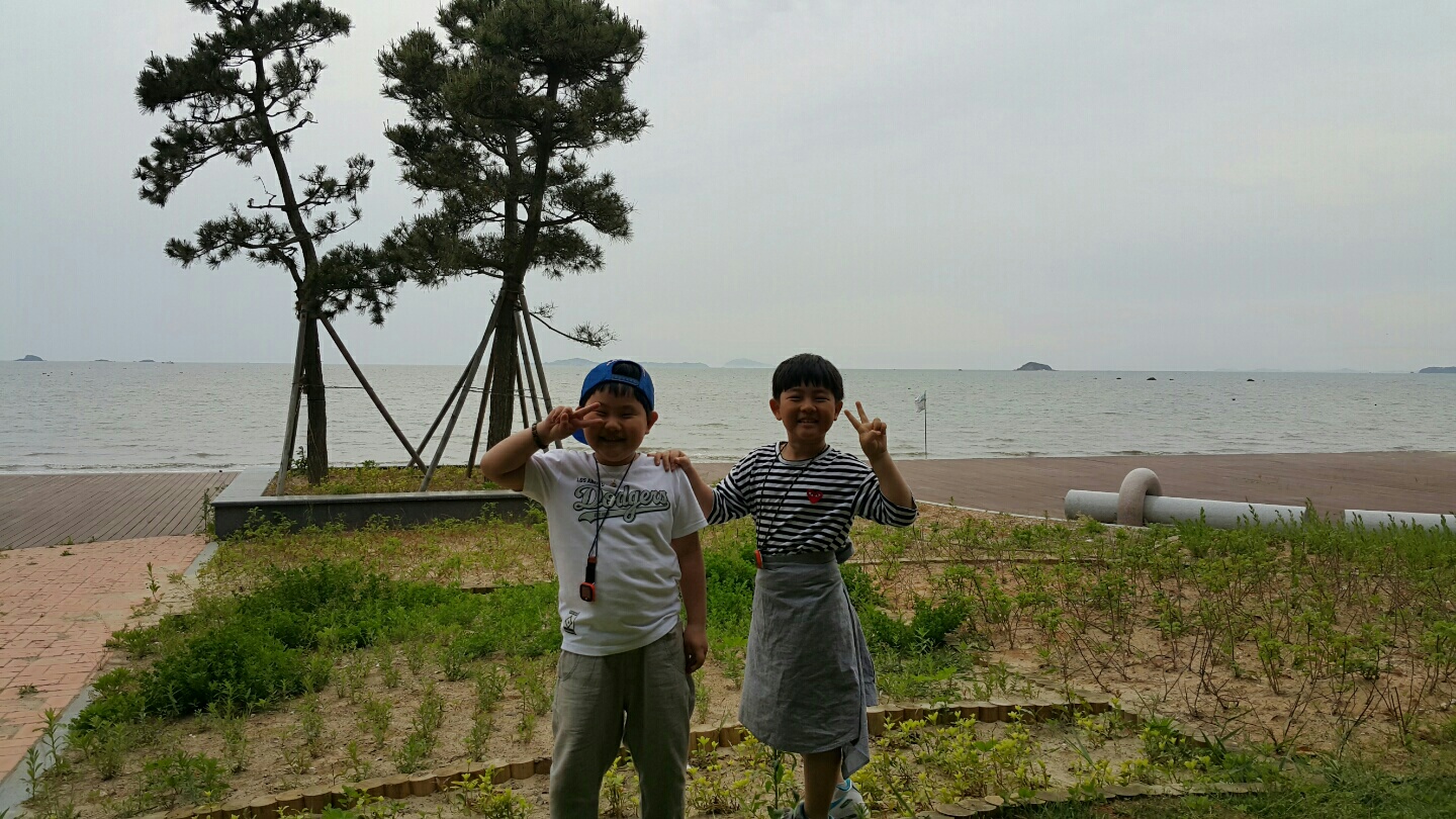 카네이션
