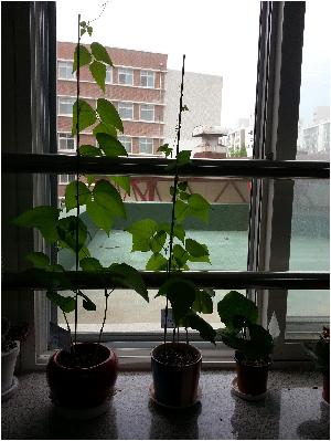 많이 자랐어요 (1).jpg