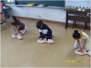 SDC11762.JPG