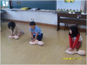 SDC11753.JPG
