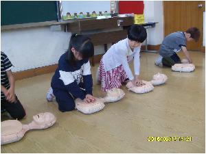 SDC11729.JPG