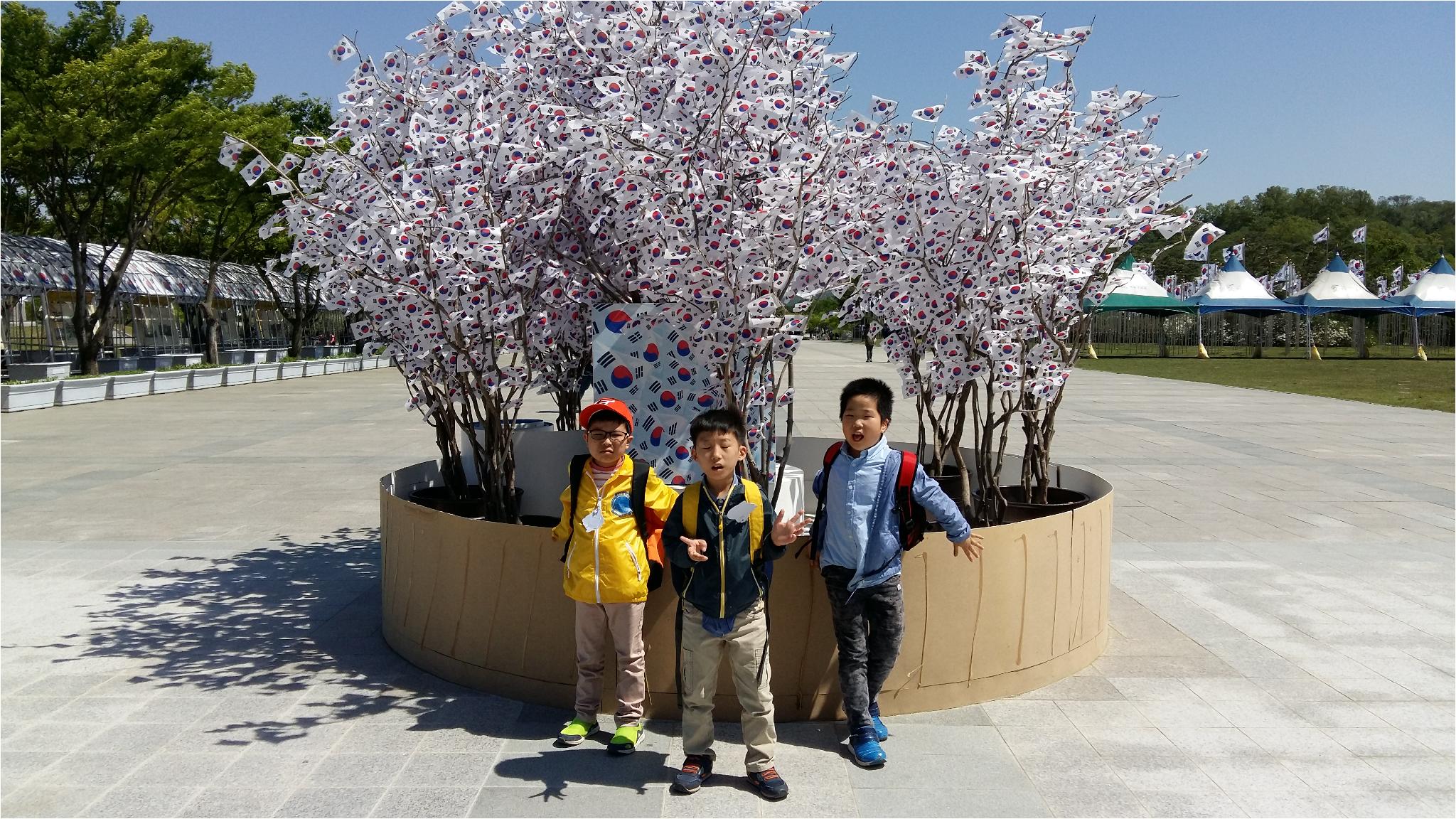 태극기나무에서 한장