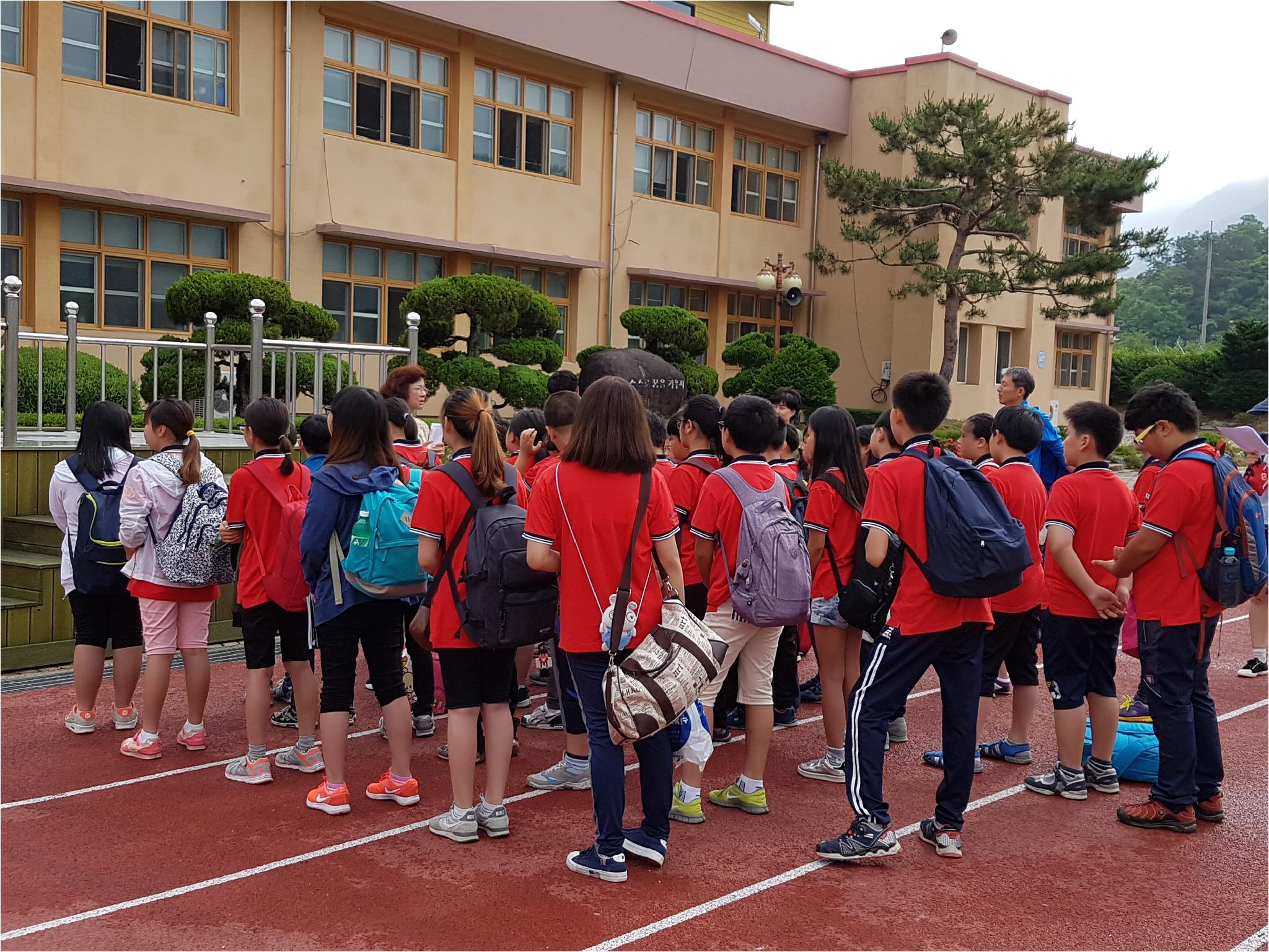 판동앨범<학교소식<판동초등학교 판동초등학교