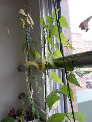 열매를 맺었어요. (1).jpg