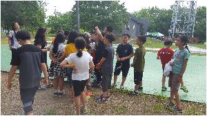 20160608_165330.jpg