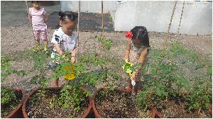 20160617_093739.jpg