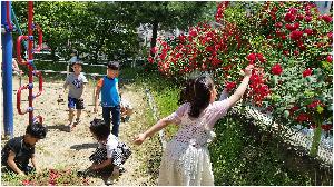 20160518_113809.jpg
