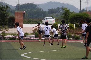 IMG_8337.JPG