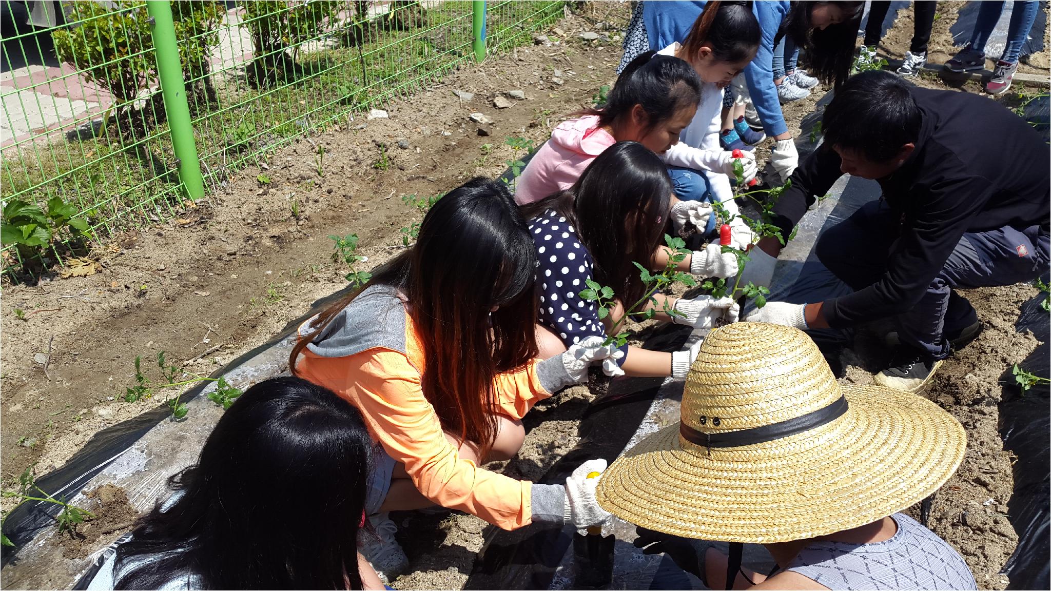 합리적 소비역량 함양을 위한 School Farm(6학년 1반)