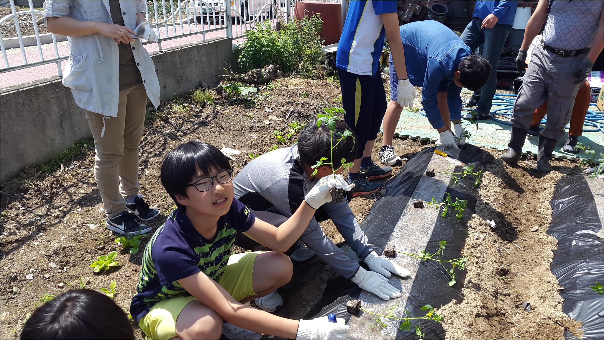 합리적 소비역량 함양을 위한 School Farm(6학년 1반)