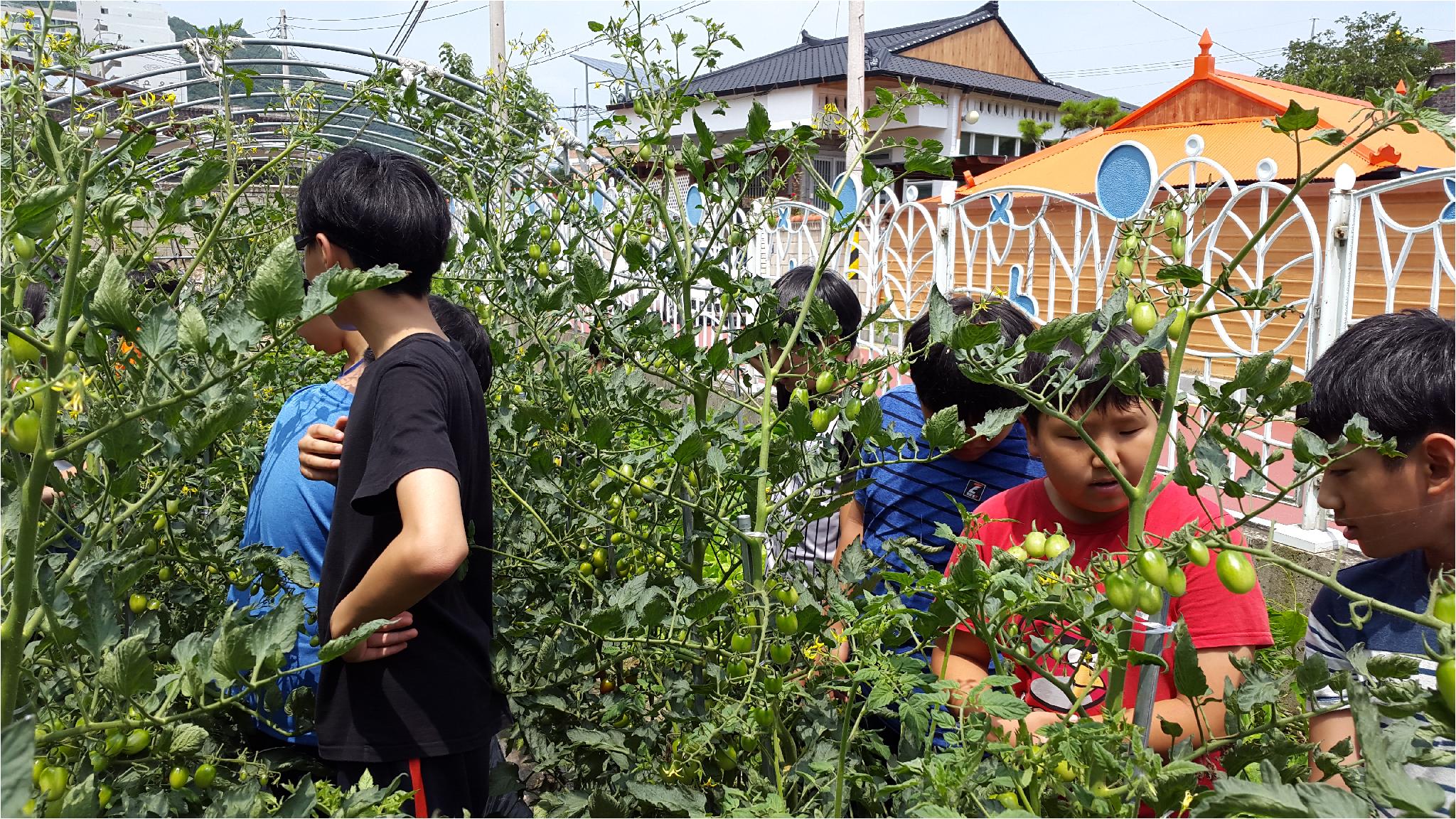 합리적 소비역량 함양을 위한 School Farm(6학년 1반)