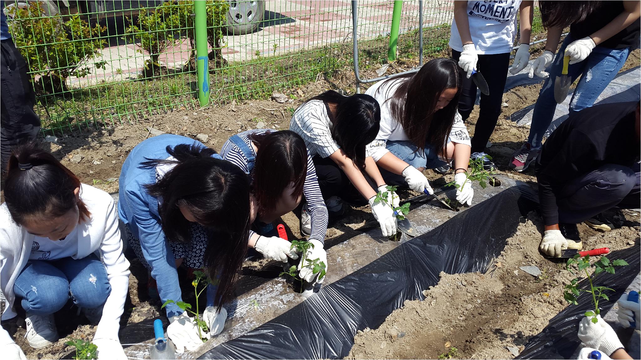 합리적 소비역량 함양을 위한 School Farm(6학년 1반)