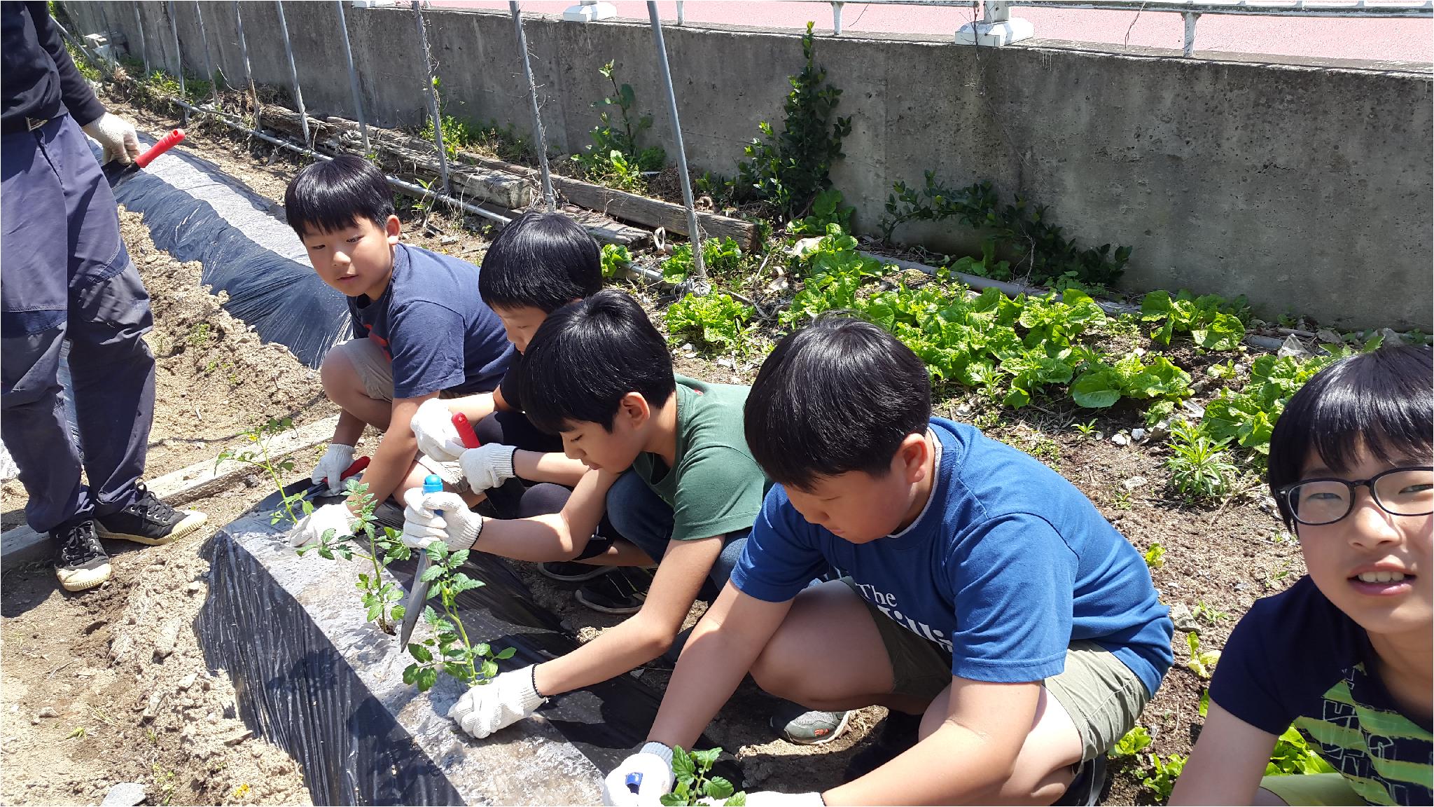 합리적 소비역량 함양을 위한 School Farm(6학년 1반)