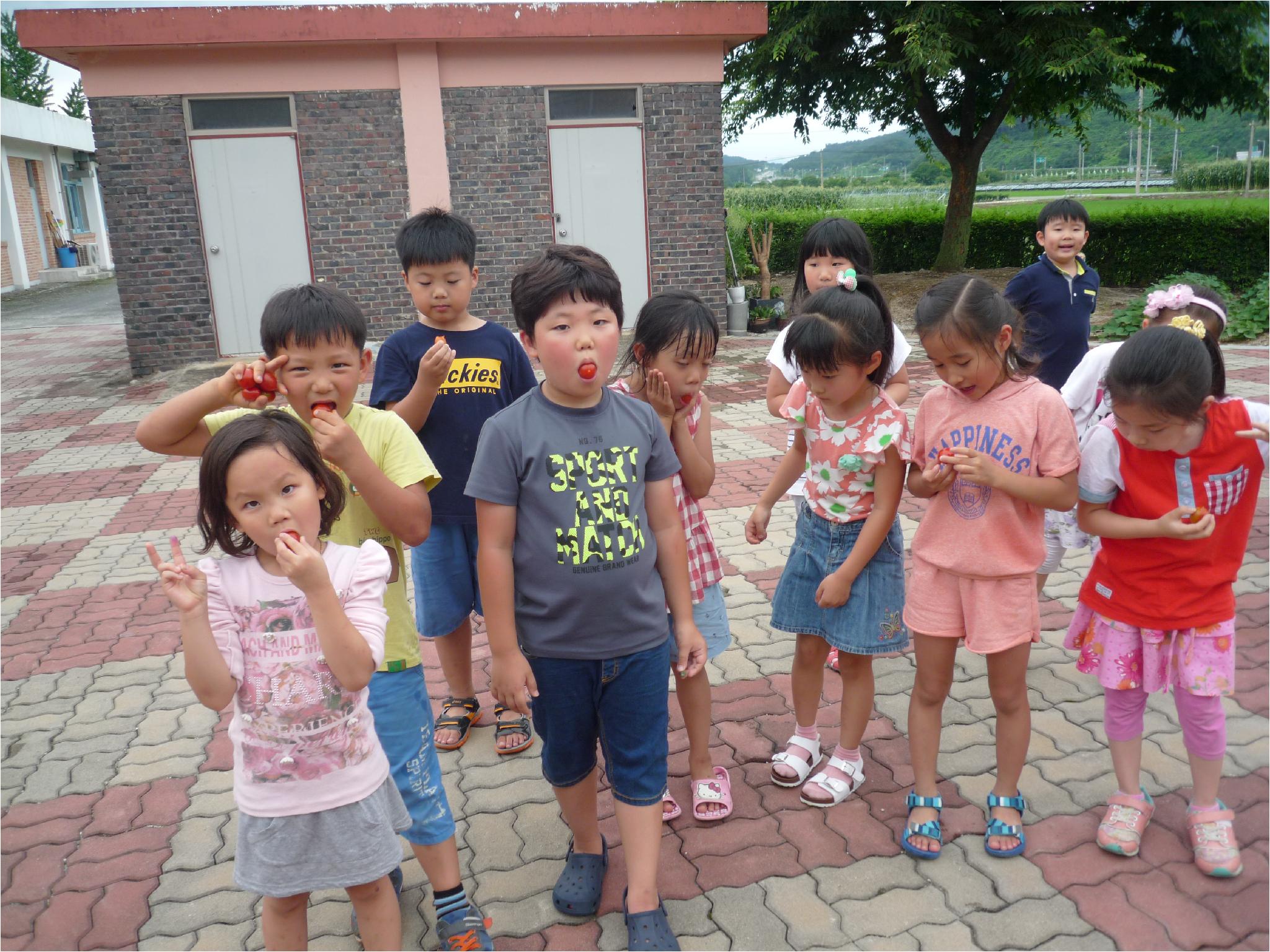 고구마가 쑥쑥!