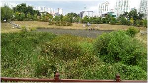 20160830_114812.jpg