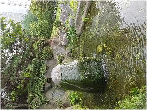 20160921_165721.jpg