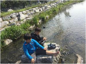9월 동진천1.JPG