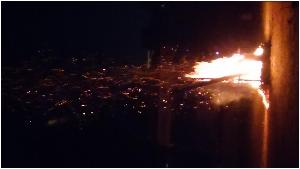 9.5-6 수련 (70).jpg
