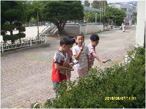 SDC12198.JPG