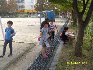 SDC12205.JPG